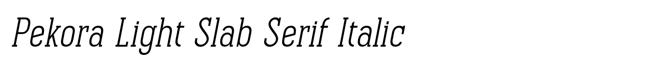 Pekora Light Slab Serif Italic